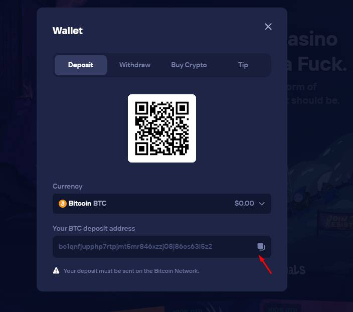 Adres depozytowy w Duel Wallet